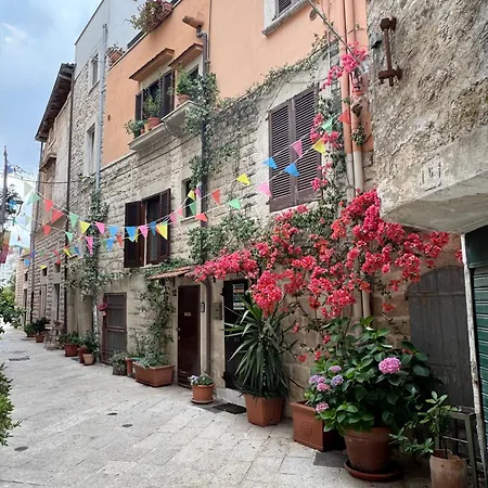 Old Town Moschetti 20 *